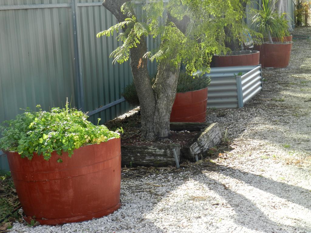 Smerdon Lodge Motel Horsham Εξωτερικό φωτογραφία